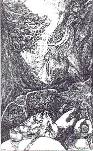 Angelique and the wolf